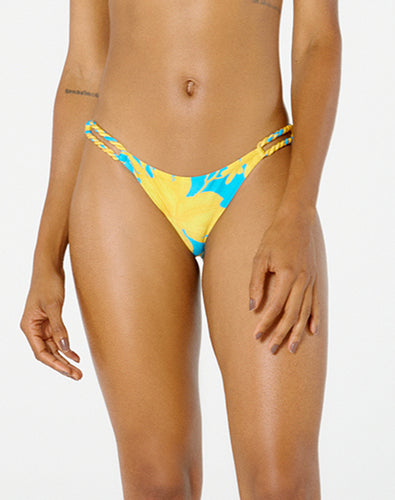 Gallery: Blueman Slip Bottom Ubatuba Orquidario